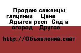 Продаю саженцы глицинии. › Цена ­ 300 - Адыгея респ. Сад и огород » Другое   